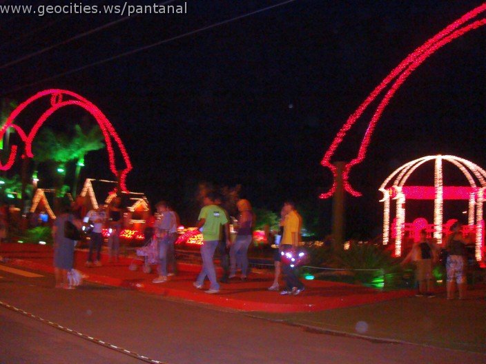 2429_geocities_ws_pantanal.jpg