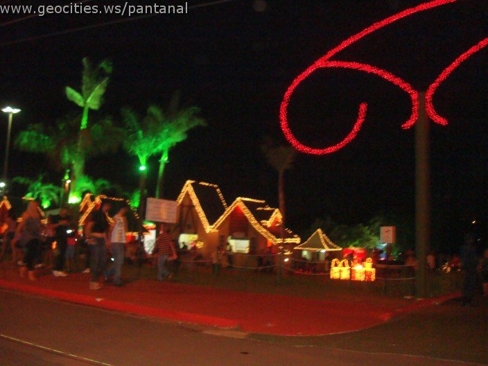 2430_geocities_ws_pantanal.jpg
