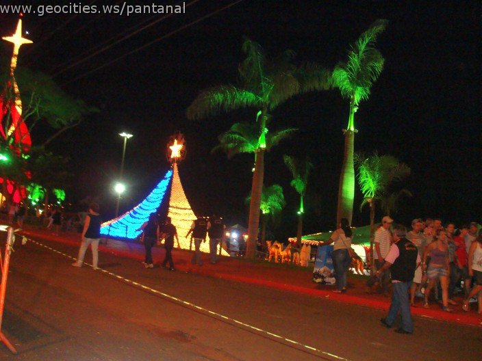 2432_geocities_ws_pantanal.jpg