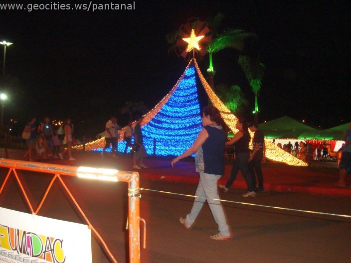 2433_geocities_ws_pantanal.jpg