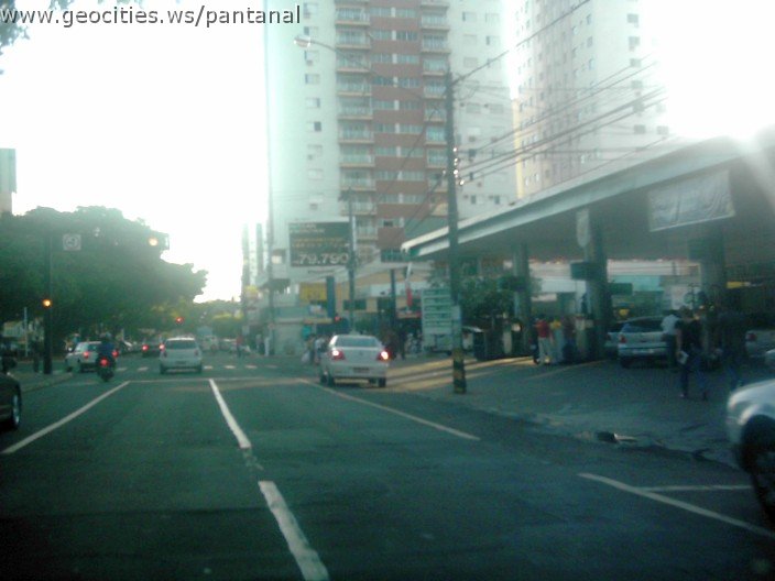 2442_geocities_ws_pantanal.jpg