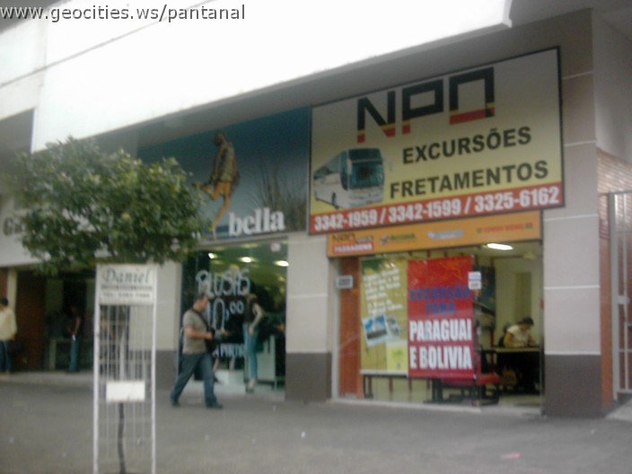 2444_geocities_ws_pantanal.jpg
