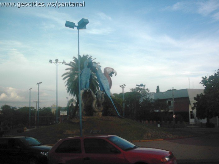 2464_geocities_ws_pantanal.jpg