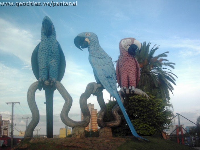 2465_geocities_ws_pantanal.jpg