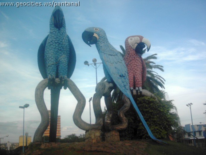 2466_geocities_ws_pantanal.jpg