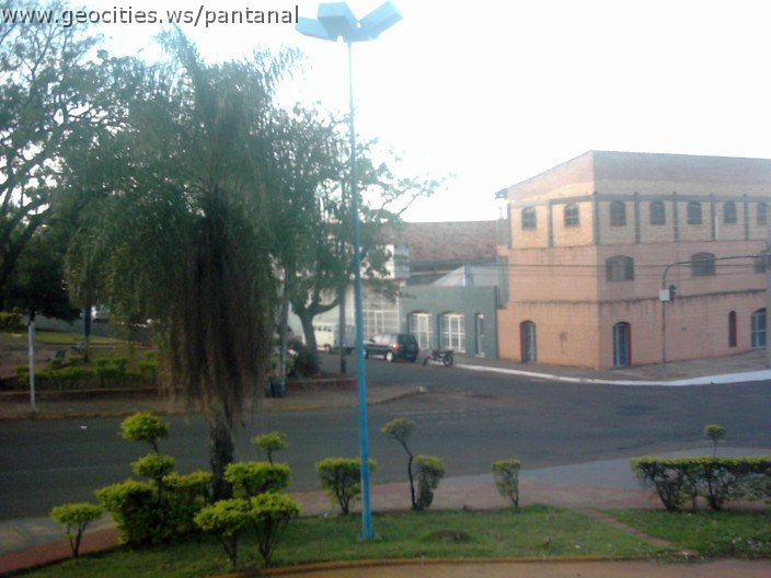 2472_geocities_ws_pantanal.jpg