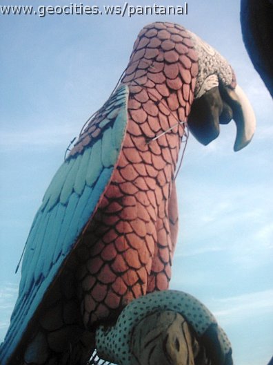 2474_geocities_ws_pantanal.jpg