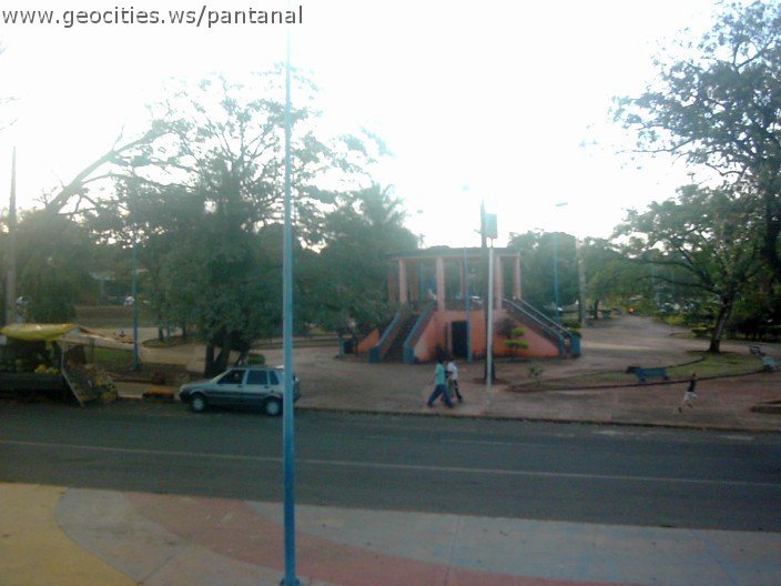 2475_geocities_ws_pantanal.jpg