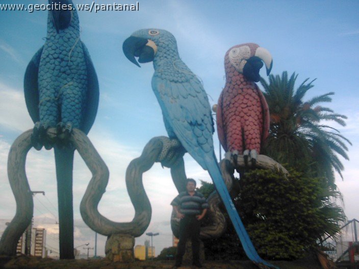 2477_geocities_ws_pantanal.jpg