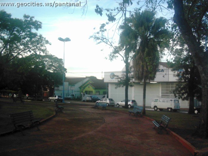 2481_geocities_ws_pantanal.jpg