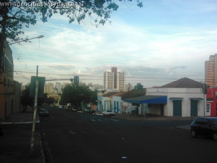2482_geocities_ws_pantanal.jpg