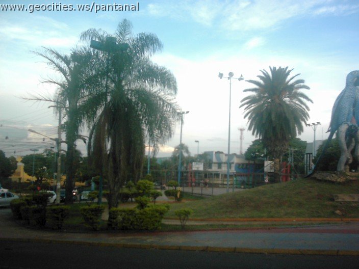 2483_geocities_ws_pantanal.jpg