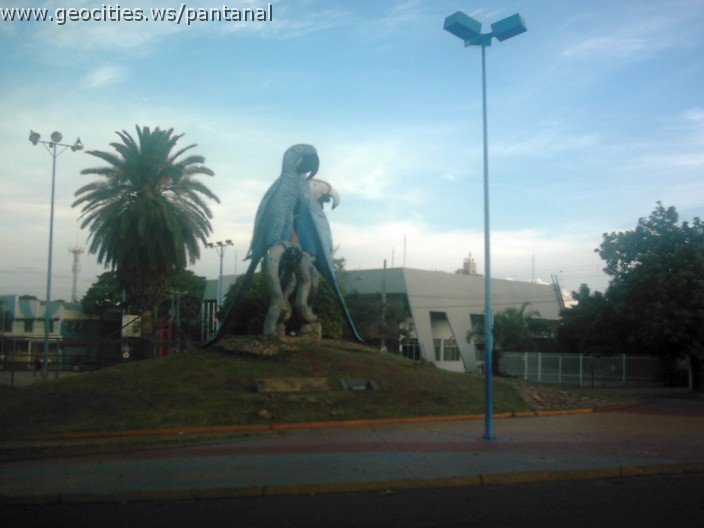 2484_geocities_ws_pantanal.jpg