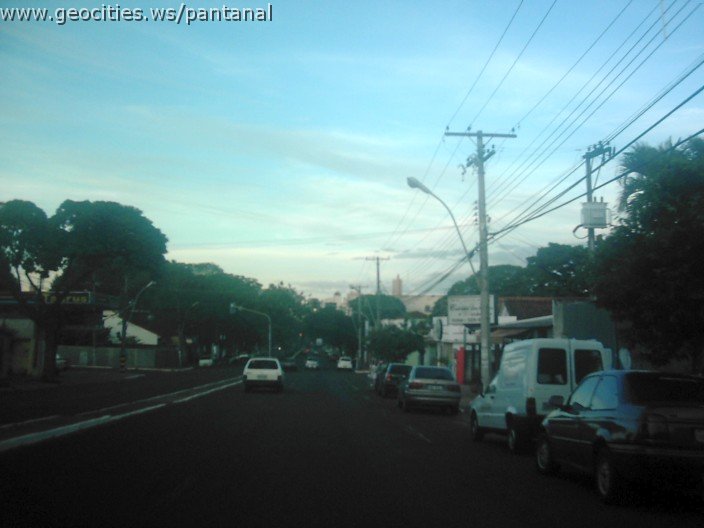2486_geocities_ws_pantanal.jpg