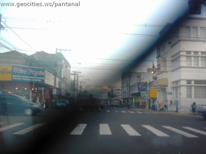 2490_geocities_ws_pantanal.jpg