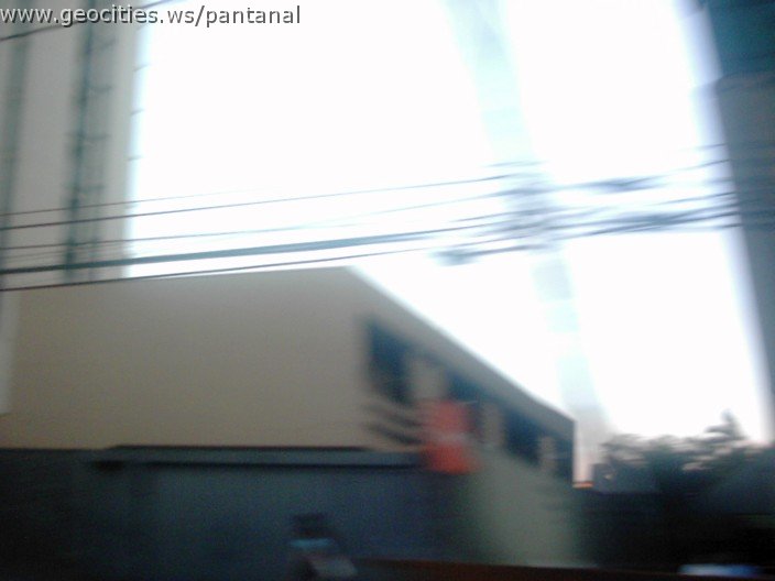 2499_geocities_ws_pantanal.jpg