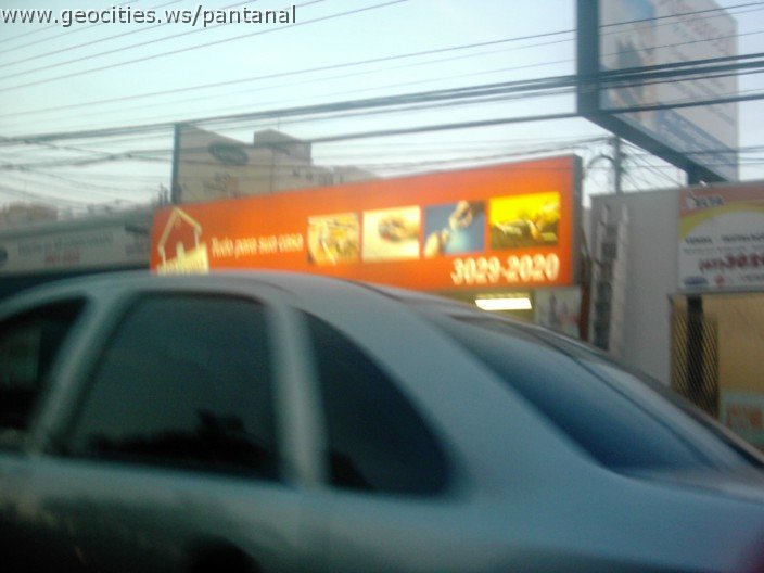 2501_geocities_ws_pantanal.jpg