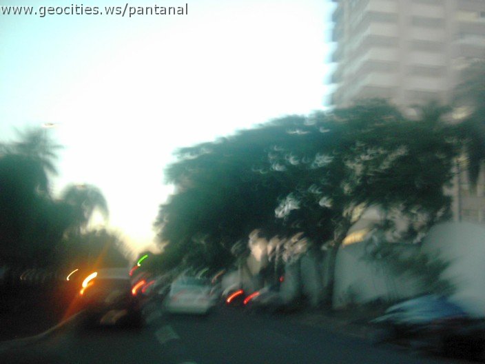 2502_geocities_ws_pantanal.jpg
