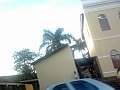 2459_geocities_ws_pantanal
