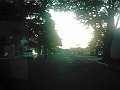 2462_geocities_ws_pantanal