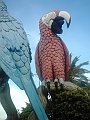 2467_geocities_ws_pantanal
