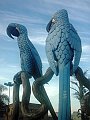 2469_geocities_ws_pantanal