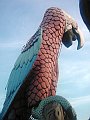 2474_geocities_ws_pantanal