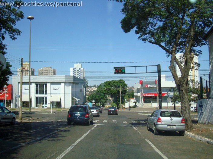 2506_geocities_ws_pantanal.jpg