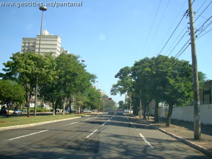 2507_geocities_ws_pantanal.jpg