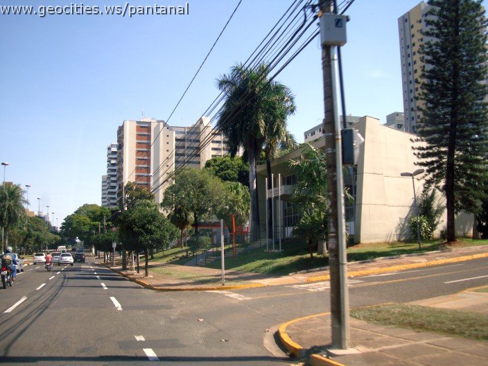 2511_geocities_ws_pantanal.jpg
