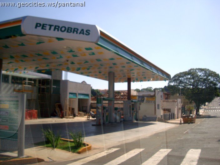 2520_geocities_ws_pantanal.jpg