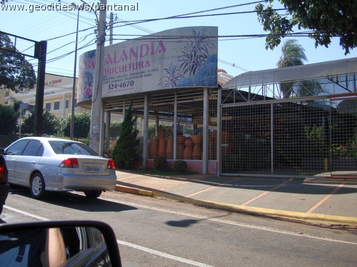 2521_geocities_ws_pantanal.jpg