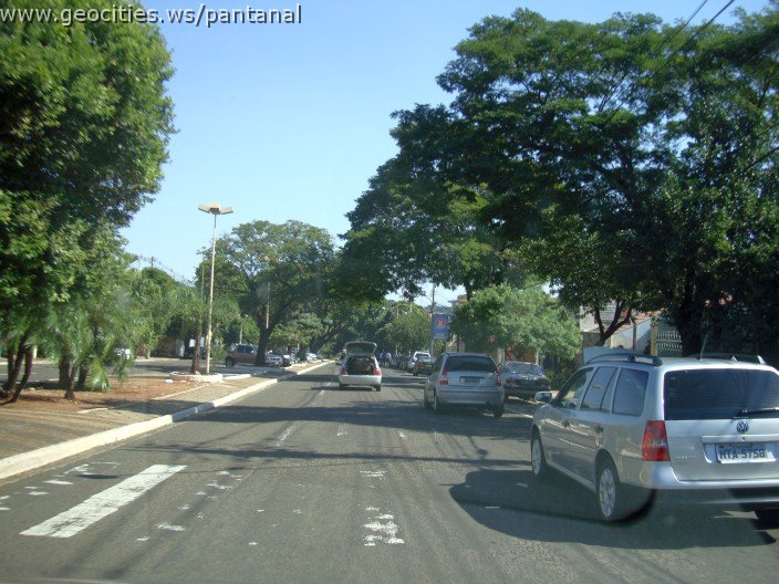2523_geocities_ws_pantanal.jpg