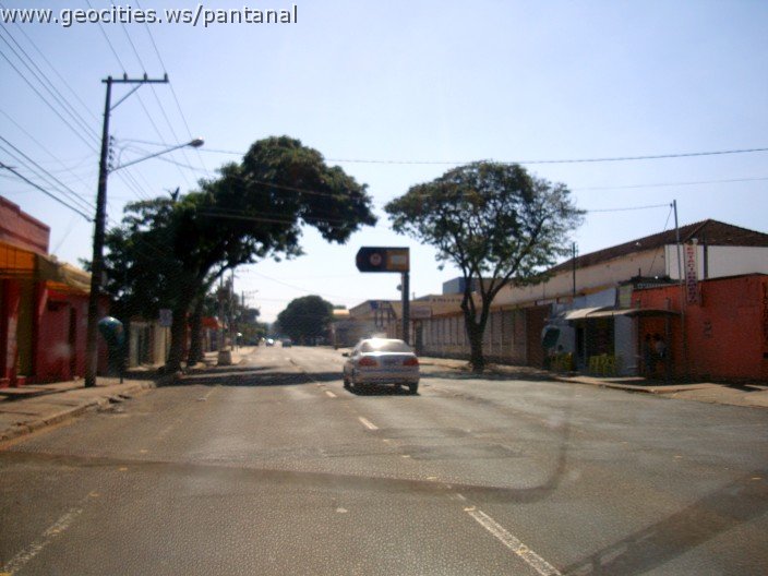 2532_geocities_ws_pantanal.jpg