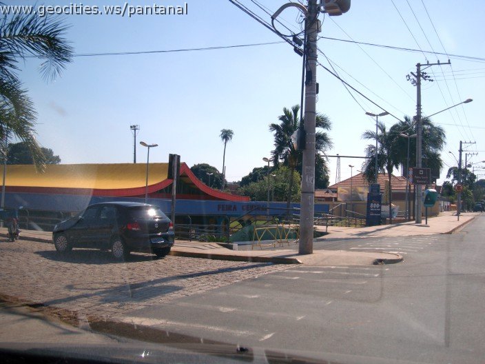 2533_geocities_ws_pantanal.jpg