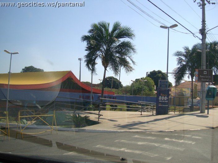 2534_geocities_ws_pantanal.jpg