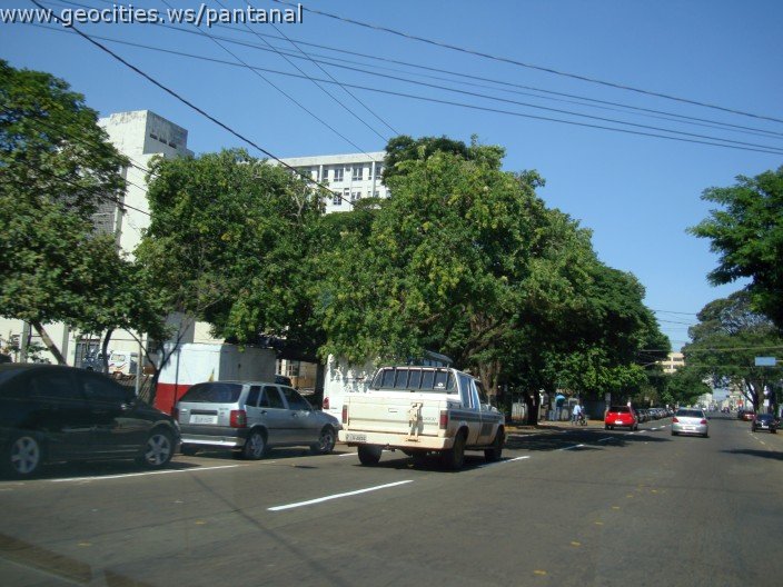 2538_geocities_ws_pantanal.jpg