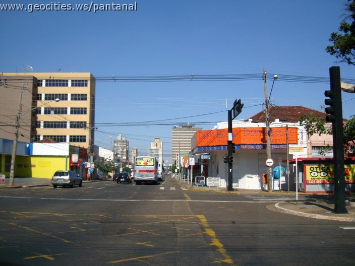 2541_geocities_ws_pantanal.jpg