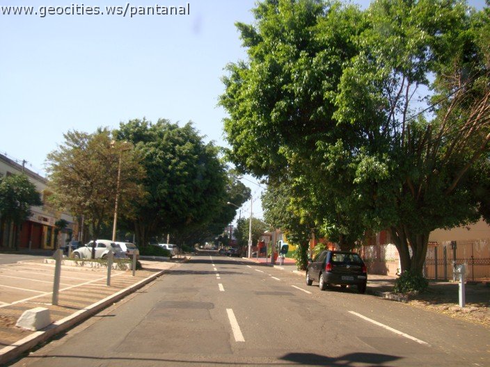 2547_geocities_ws_pantanal.jpg