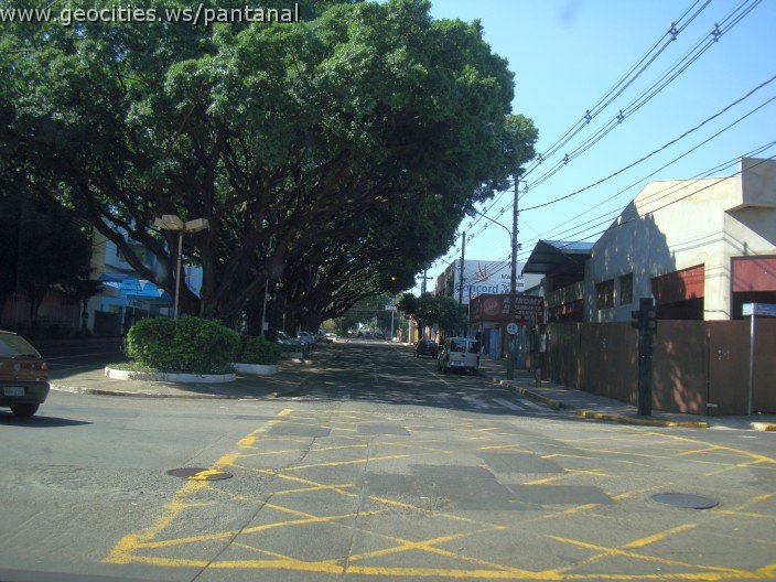 2549_geocities_ws_pantanal.jpg