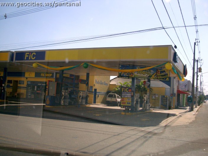2552_geocities_ws_pantanal.jpg