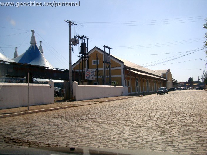 2555_geocities_ws_pantanal.jpg