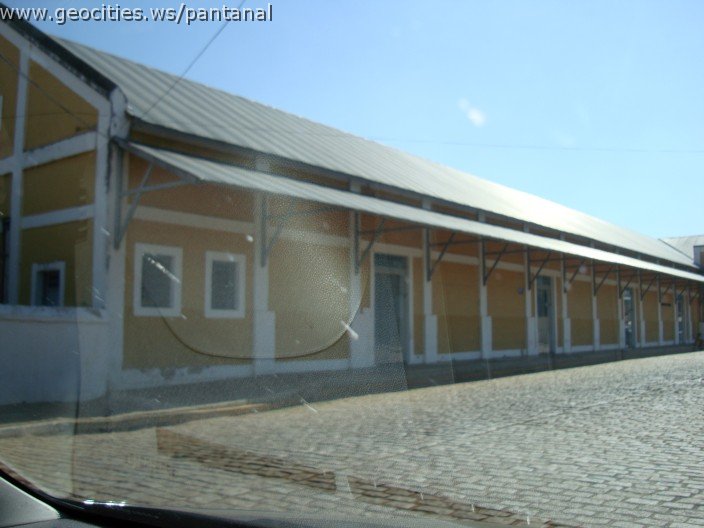 2556_geocities_ws_pantanal.jpg