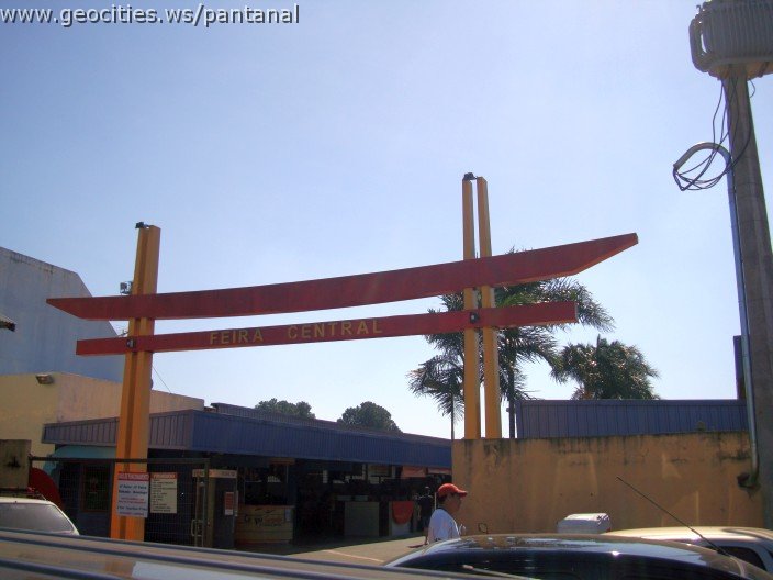 2560_geocities_ws_pantanal.jpg