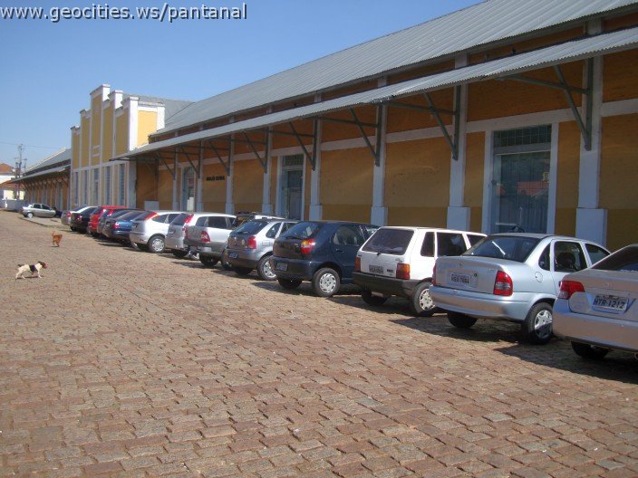 2561_geocities_ws_pantanal.jpg