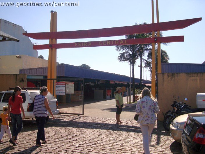 2562_geocities_ws_pantanal.jpg