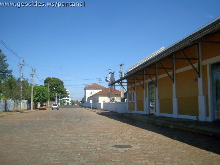 2566_geocities_ws_pantanal.jpg