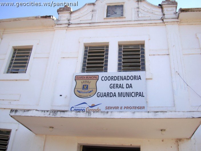 2569_geocities_ws_pantanal.jpg