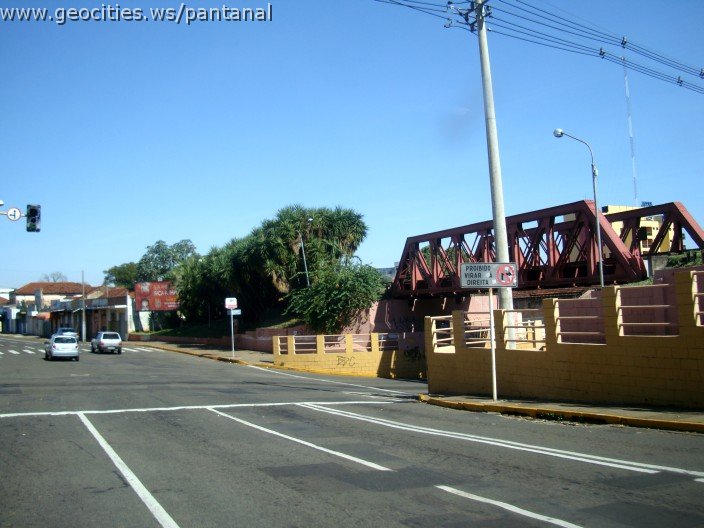 2577_geocities_ws_pantanal.jpg