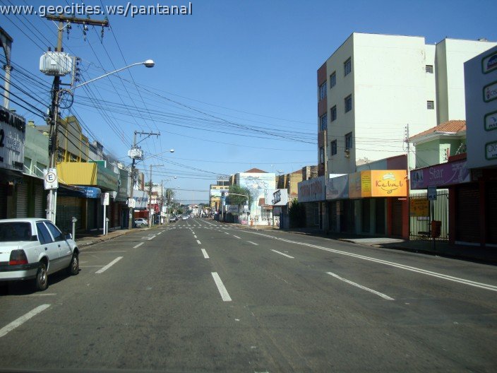 2582_geocities_ws_pantanal.jpg